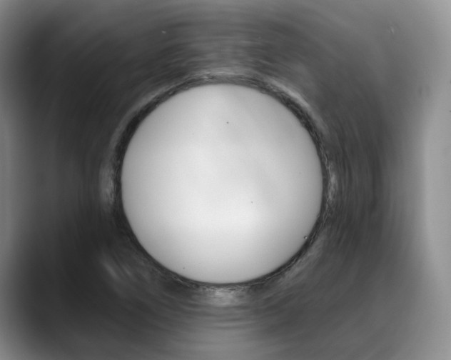 X0000090731266200707200949