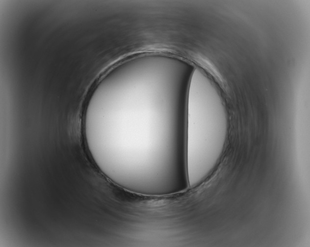 X0000090731268200707200949