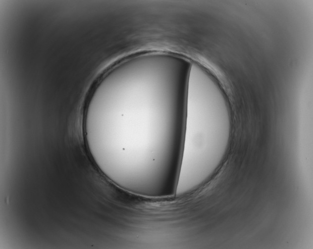 X0000090731272200707200949