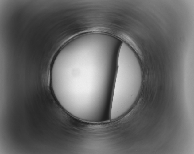 X0000090731276200707200949