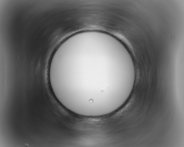 X0000090731278200707200949