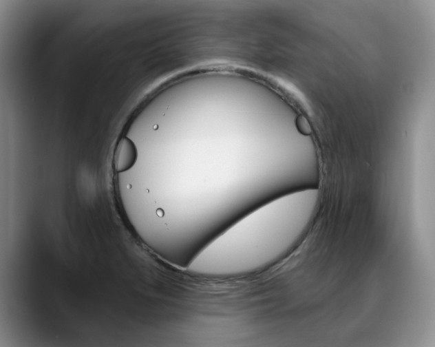 X0000090731279200707200949