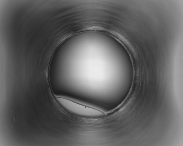 X0000090731281200707200949