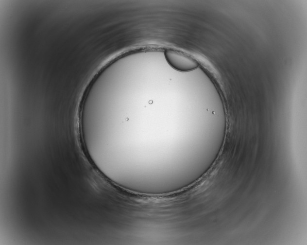 X0000090731287200707200948