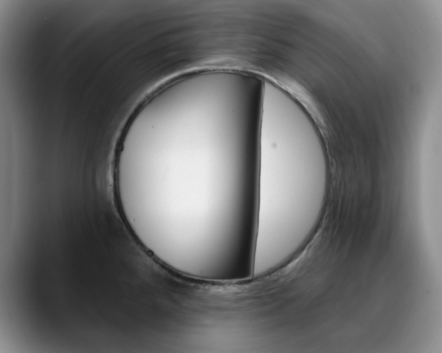 X0000090731288200707200948
