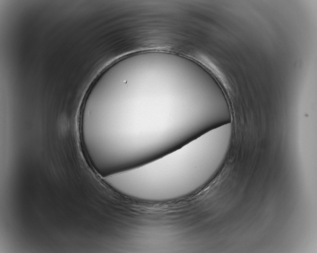 X0000090731291200707200948