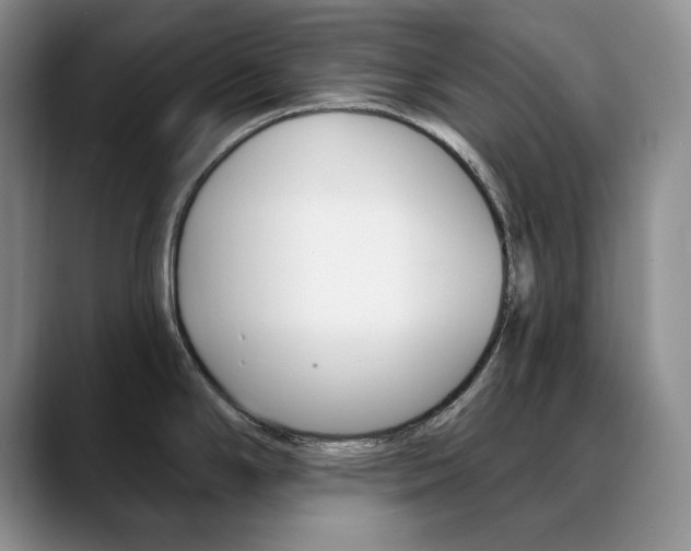 X0000090731294200707200948