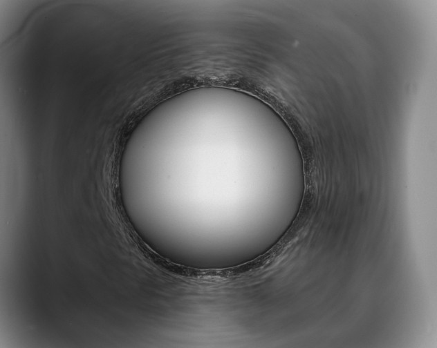 X0000090731297200707200948