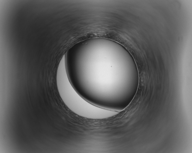 X0000090731298200707200948