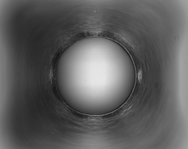 X0000090731299200707200948