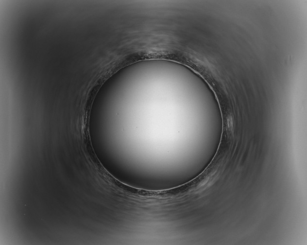 X0000090731300200707200948