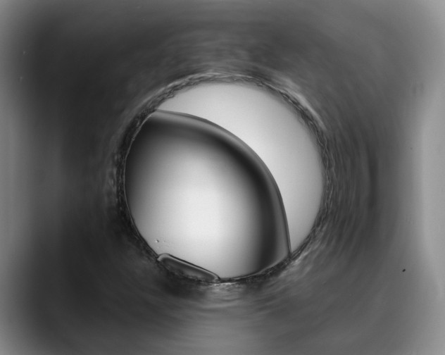 X0000090731304200707200948