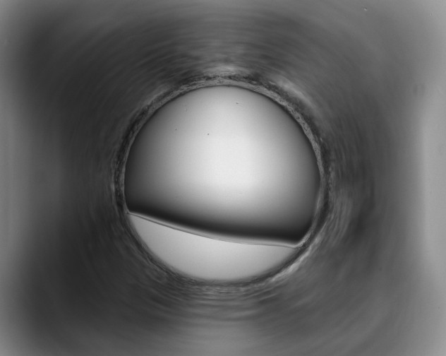 X0000090731305200707200948