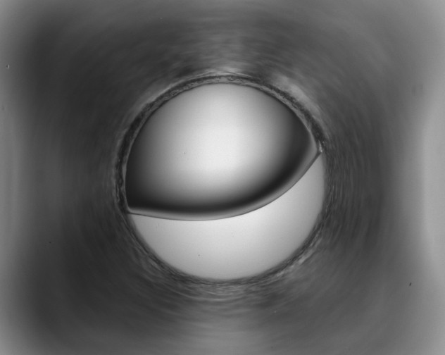 X0000090731308200707200948