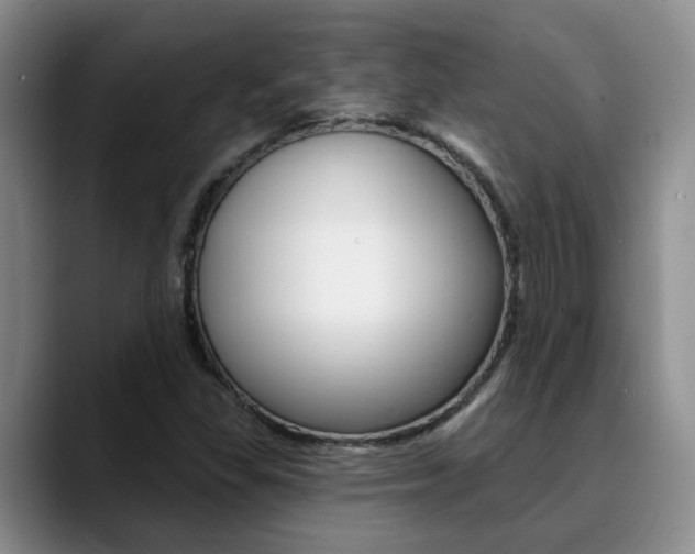X0000090731309200707200948