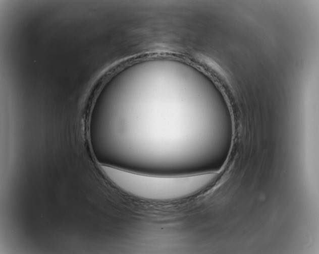 X0000090731310200707200948