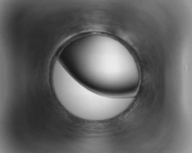 X0000090731312200707200948