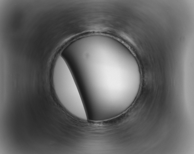 X0000090731315200707200948