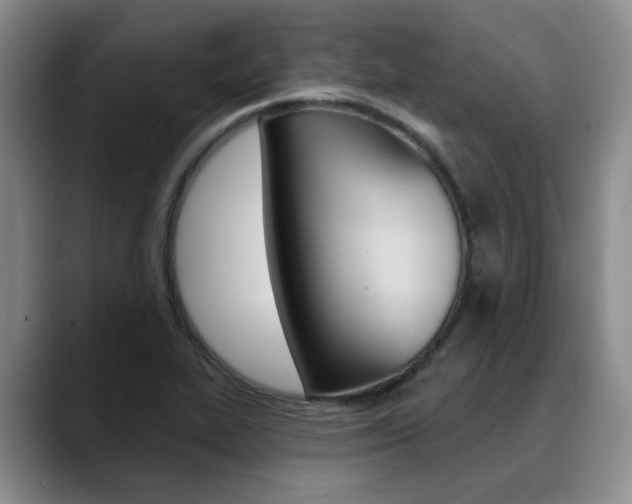X0000090731319200707200948