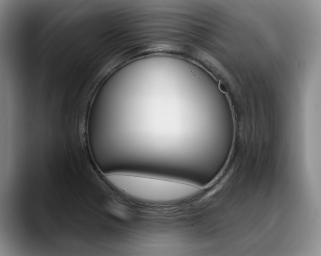 X0000090731321200707200948