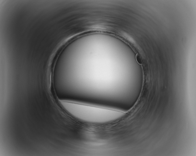 X0000090731323200707200948