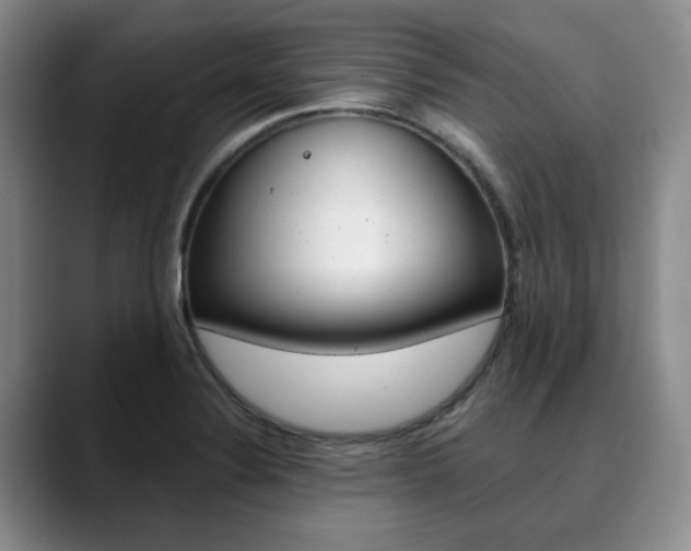 X0000090731324200707200948