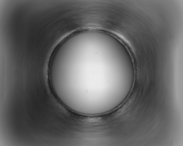 X0000090731325200707200948