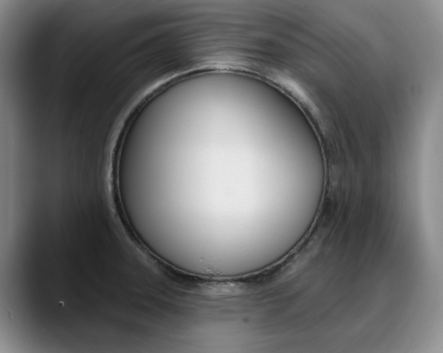 X0000090731331200707200948