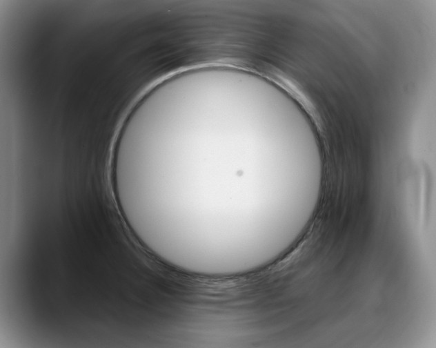 X0000090731332200707200948