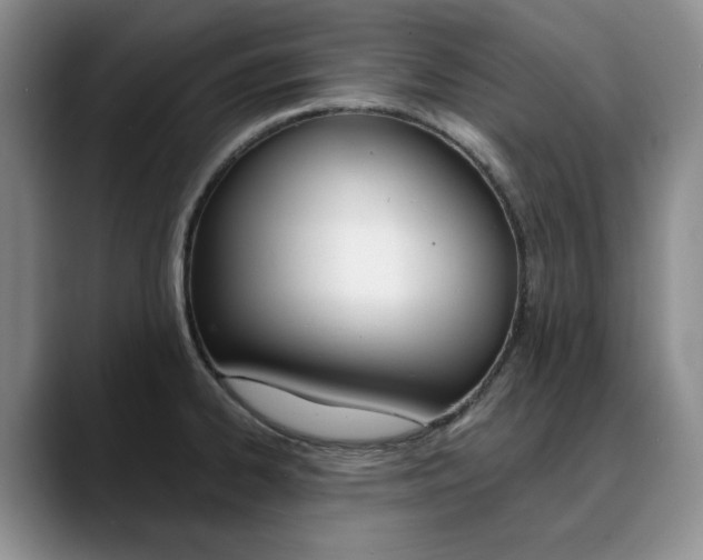 X0000090731334200707200948