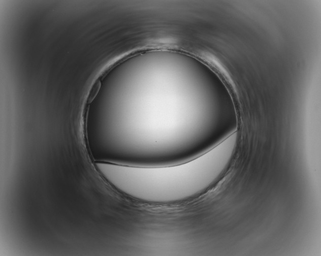 X0000090731336200707200948