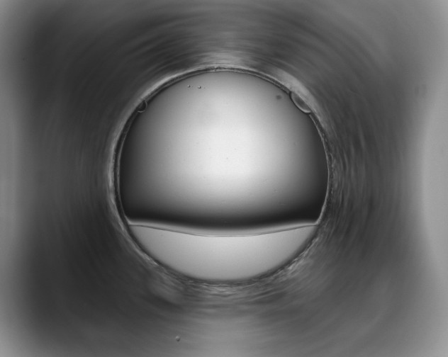 X0000090731339200707200948