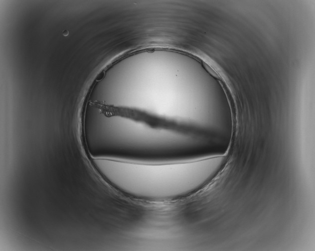 X0000090731341200707200948