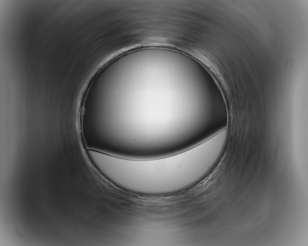 X0000090731342200707200948
