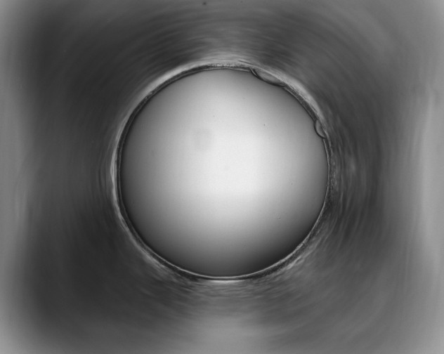 X0000090731343200707200948