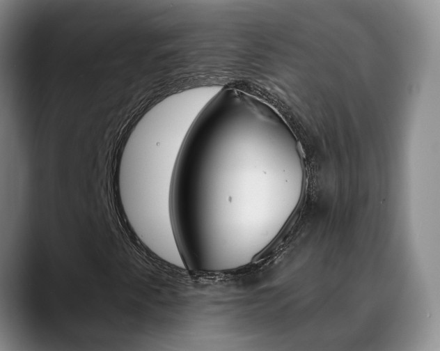 X0000090731345200707200948