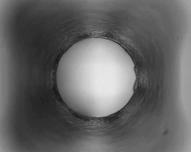X0000090731346200707200948