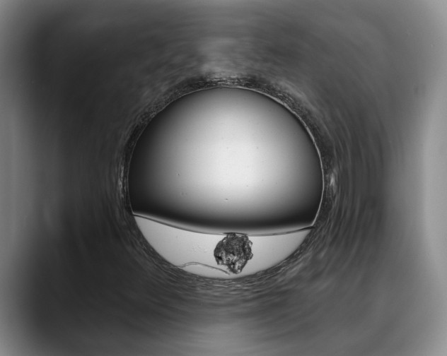 X0000090731348200707200948
