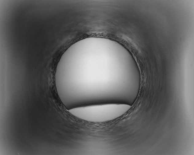 X0000090731350200707200948