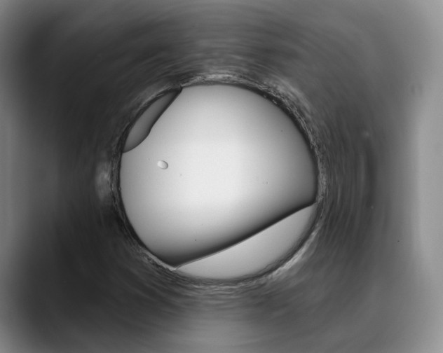 X0000090731353200707200948