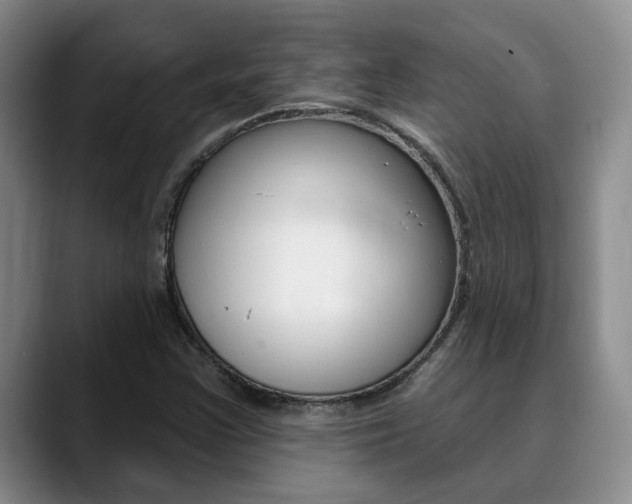 X0000090731355200707200948