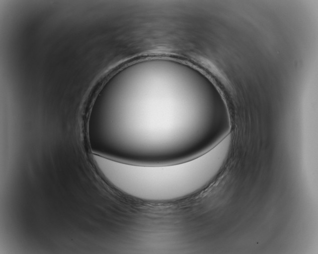 X0000090731356200707200948