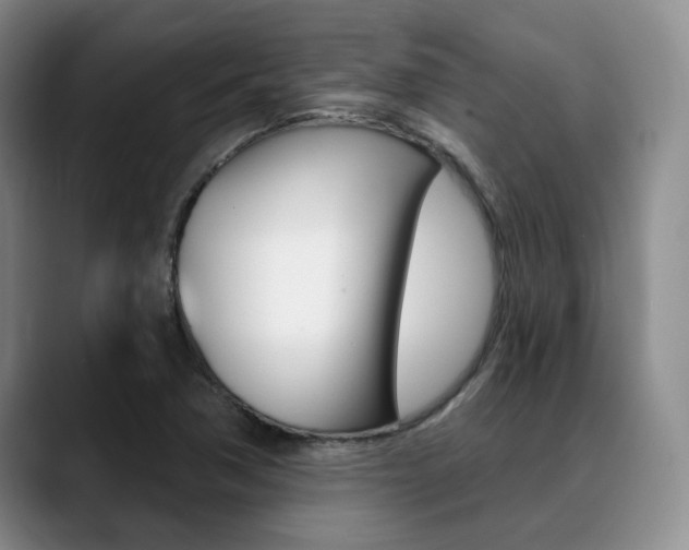 X0000090731362200707200948