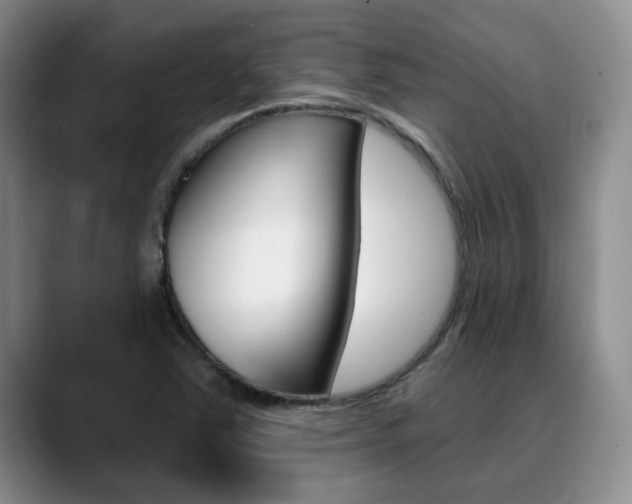 X0000090731363200707200948