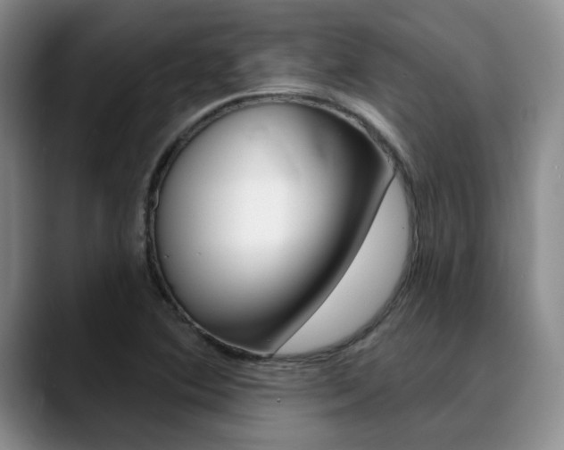 X0000090731364200707200948