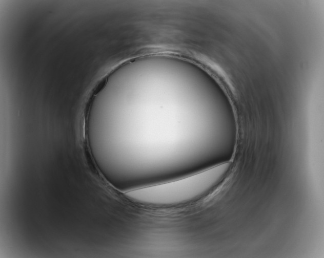 X0000090731365200707200948