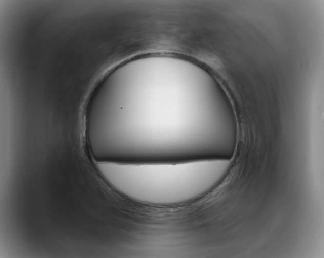 X0000090731366200707200948
