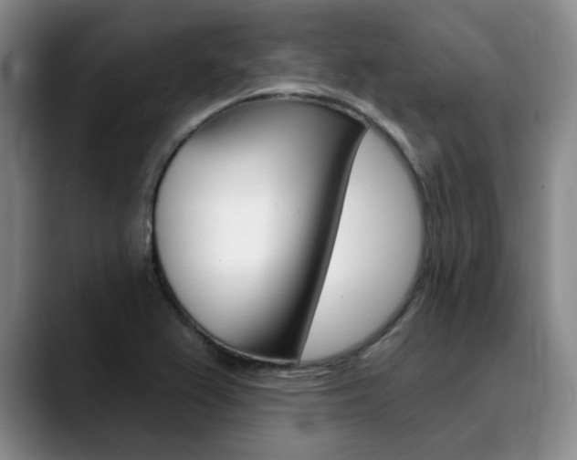 X0000090731367200707200948
