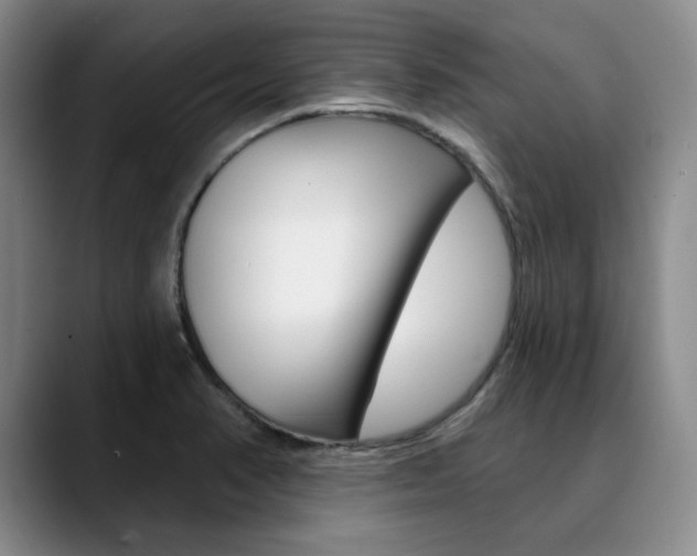 X0000090731374200707200947