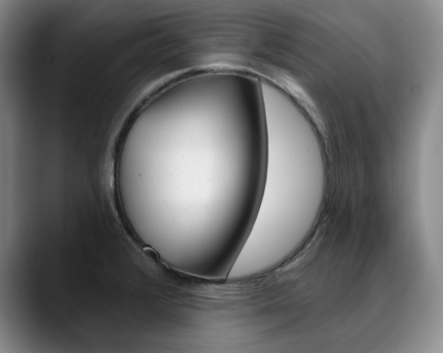 X0000090731376200707200947